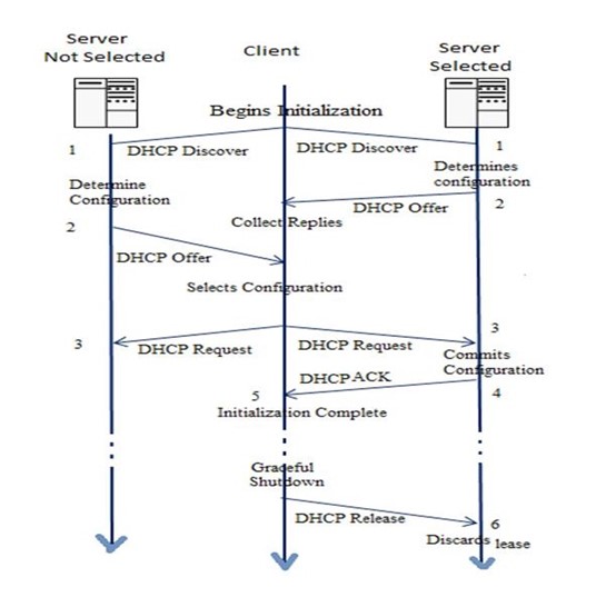 CompTIA NET Dynamic Host Configuration Protocol DHCP