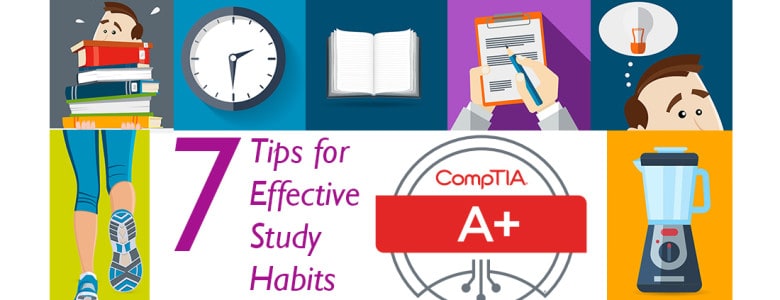 study habbit