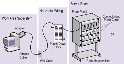 Network Patch Panel Wiring Diagram Example from asmed.com
