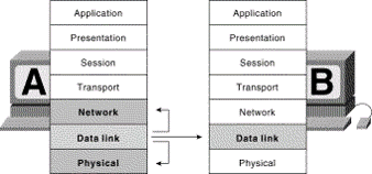 OSI model