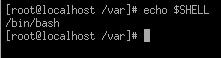 Linux+