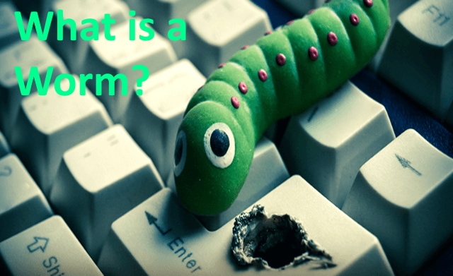 CompTIA A+ Microsoft MTA O/S What is a computer worm
